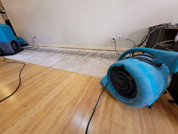 Professional Water Damage Repair technician working in Clover, SC